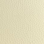 Folie decorativa Struzzo creme