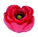 Buton floare de mac, S.H123-65 A54