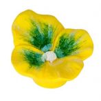 Buton panseluta galbena, S.H126-50 A57 S