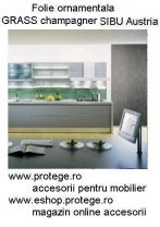 FOLII DECORATIVE STRUCTURE-LINE