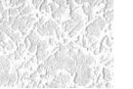 Tapet colectia PATENT DECOR