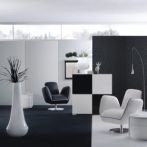 FOLII DECORATIVE LEATHER - LINE 