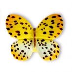 BUTONI  ANIMALE SI INSECTE