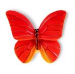 BUTONI  ANIMALE SI INSECTE