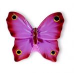 BUTONI  ANIMALE SI INSECTE