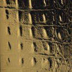 FOLII DECORATIVE NOUTATI 2009