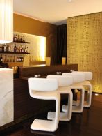 FOLII DECORATIVE NOUTATI 2009